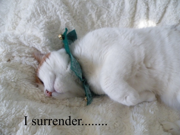 elf-surrender